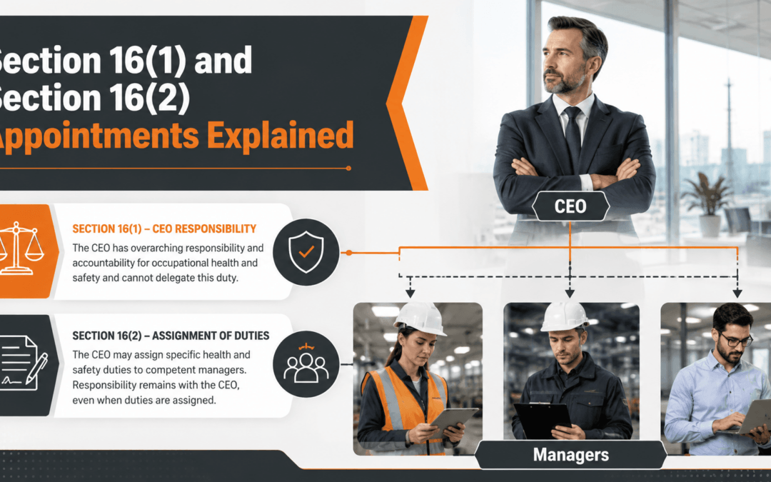 Section 16(1) and Section 16(2) Appointments Explained
