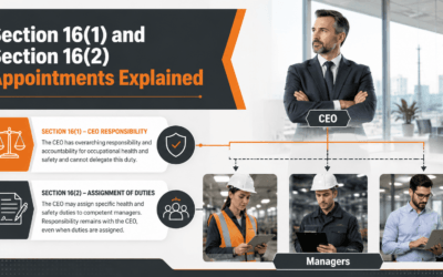 Section 16(1) and Section 16(2) Appointments Explained